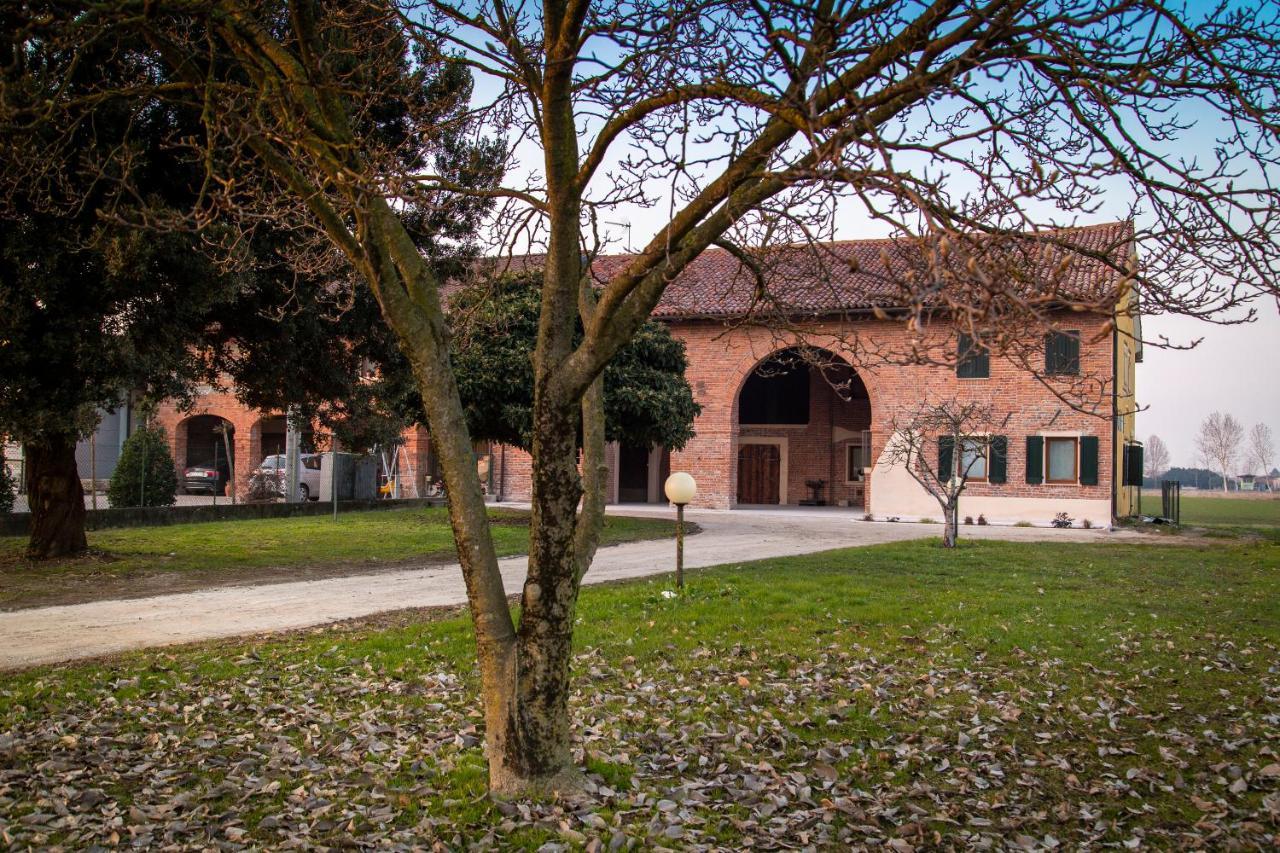 Casa Norma Piano Terra Vila San Martino di Lupari Exterior foto